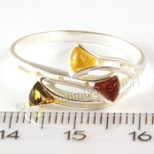 Ringe für 29,90 €
