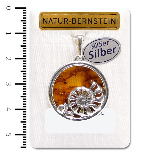 90934 Ahnänger Muschel, cognac