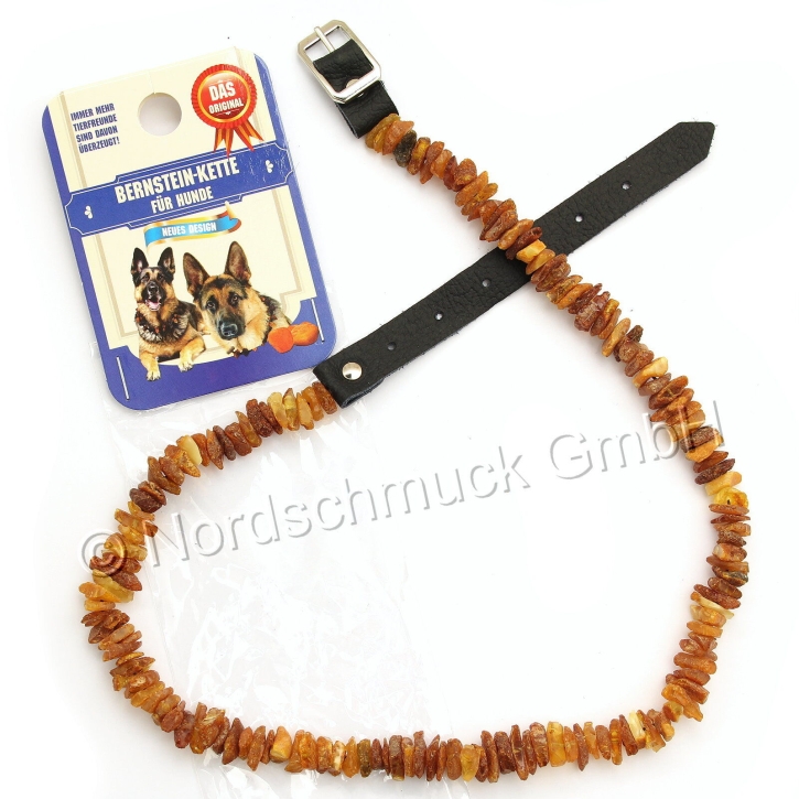 Bernsteinkette Hund Katze Bernstein roh Hundekette Halsband raw amber mit Lederverschluß, 'XL' ca. 52-60 cm