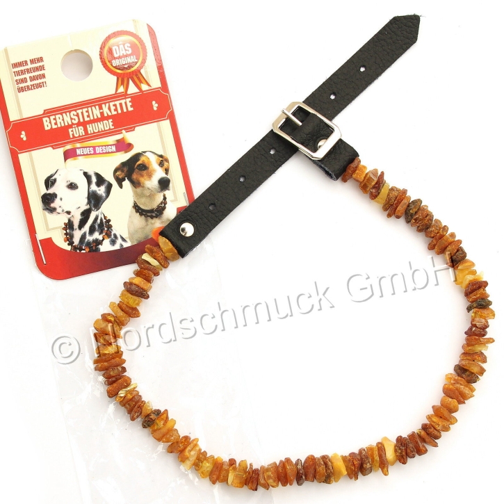Bernsteinkette Hund Katze Bernstein roh Hundekette Halsband raw amber mit Lederverschluß, 'M' ca. 38-44 cm