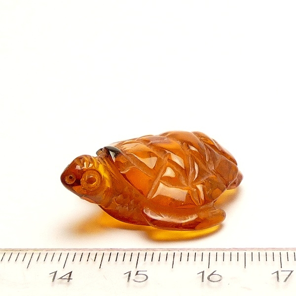 Natur-Bernstein, Schildkröte