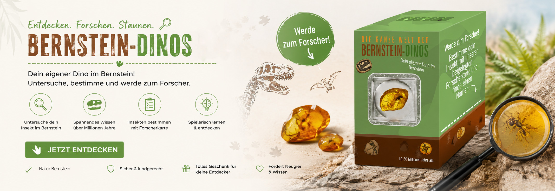 Zum SET